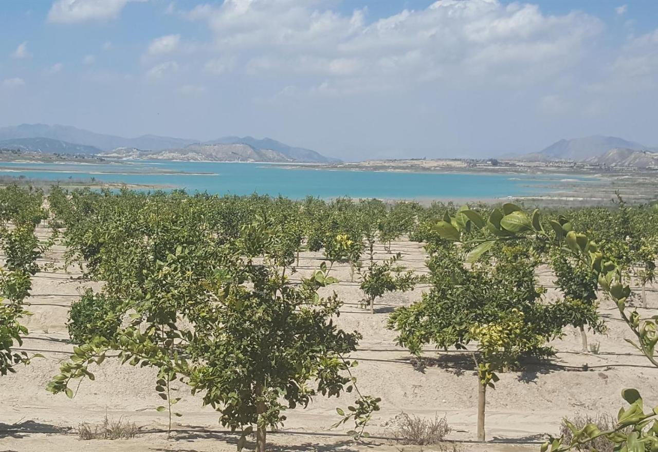 Very Nice Apartment With See Views Dehesa de Campoamor  Buitenkant foto